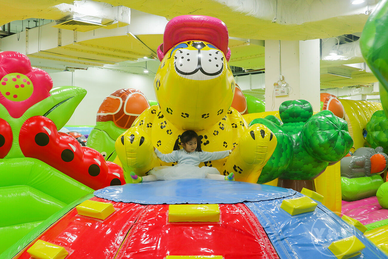 YGIP-16Forest Forest